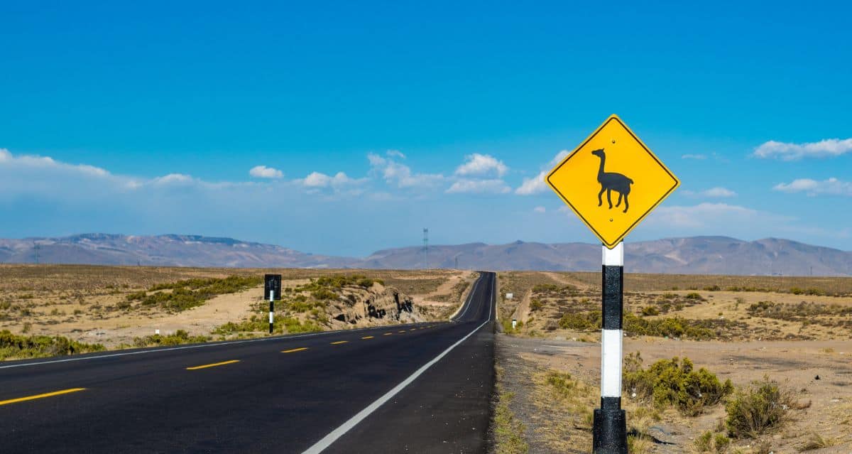 can you drive to south america