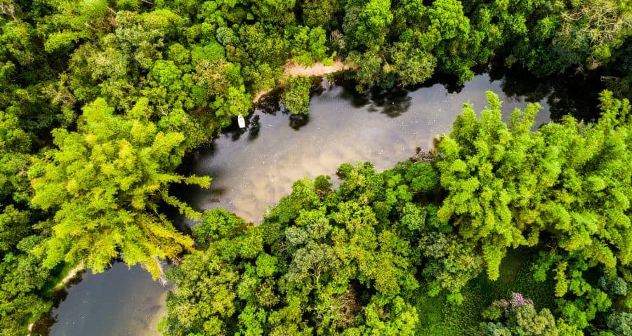 Living in South America - River