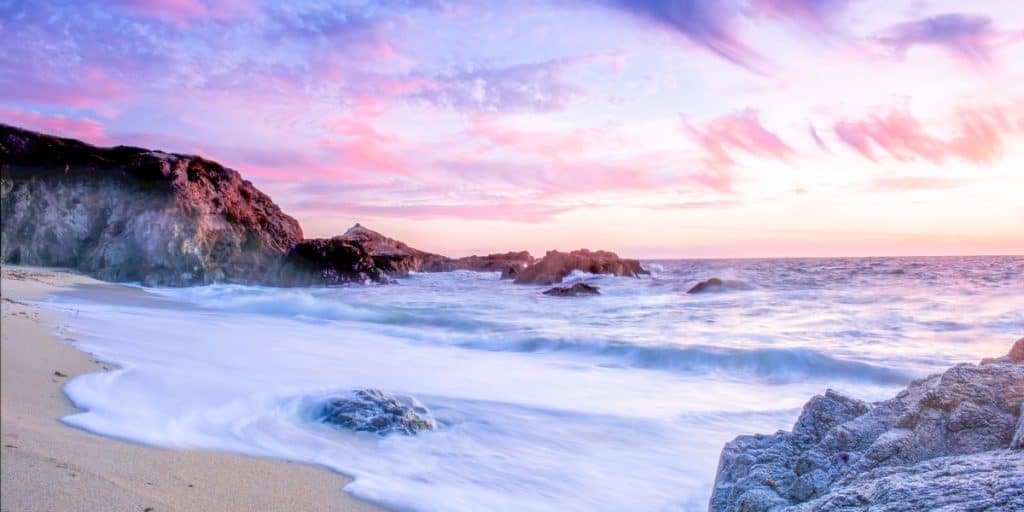 Bodega Dunes Campground