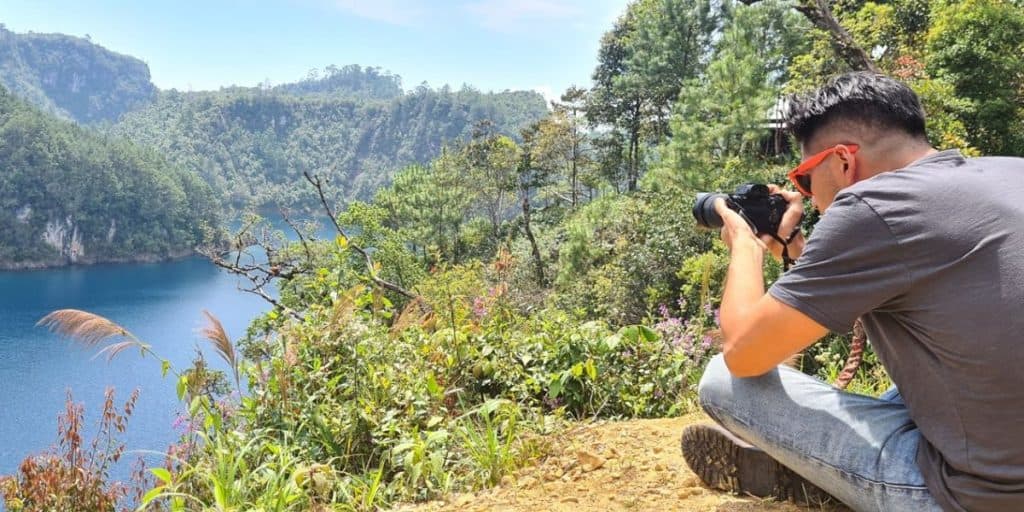 How To See These Monkeys in Mexico?