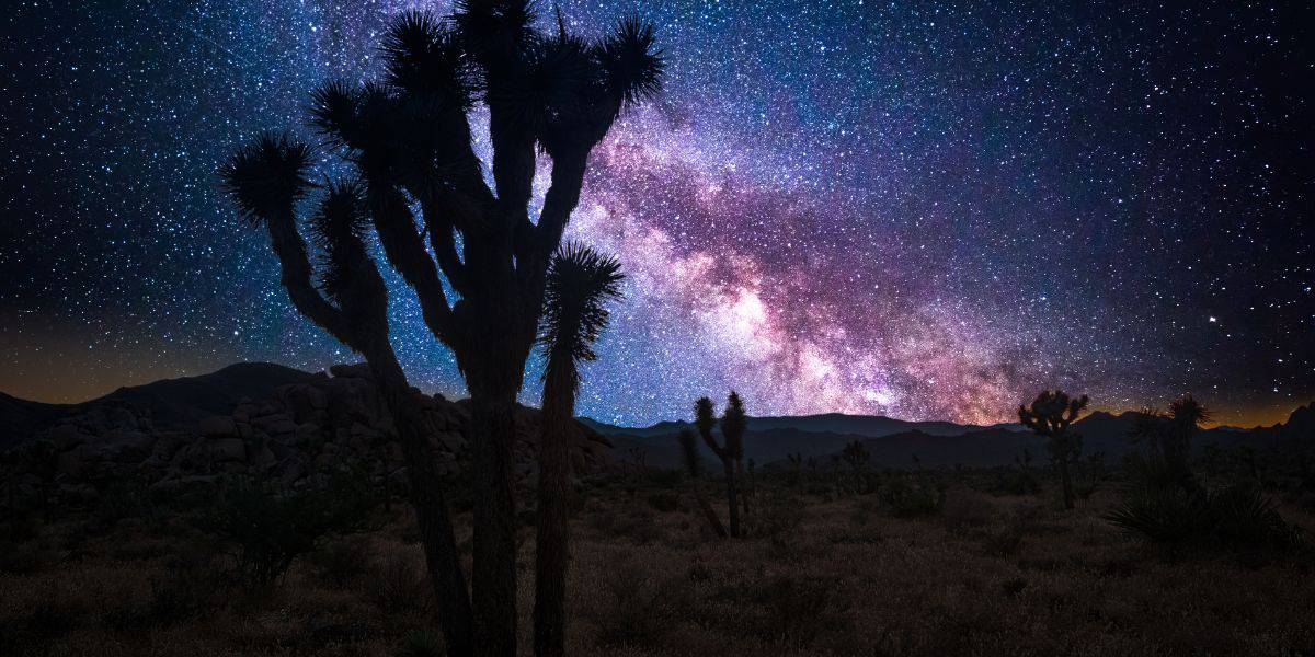 best campgrounds in Joshua Tree National Park
