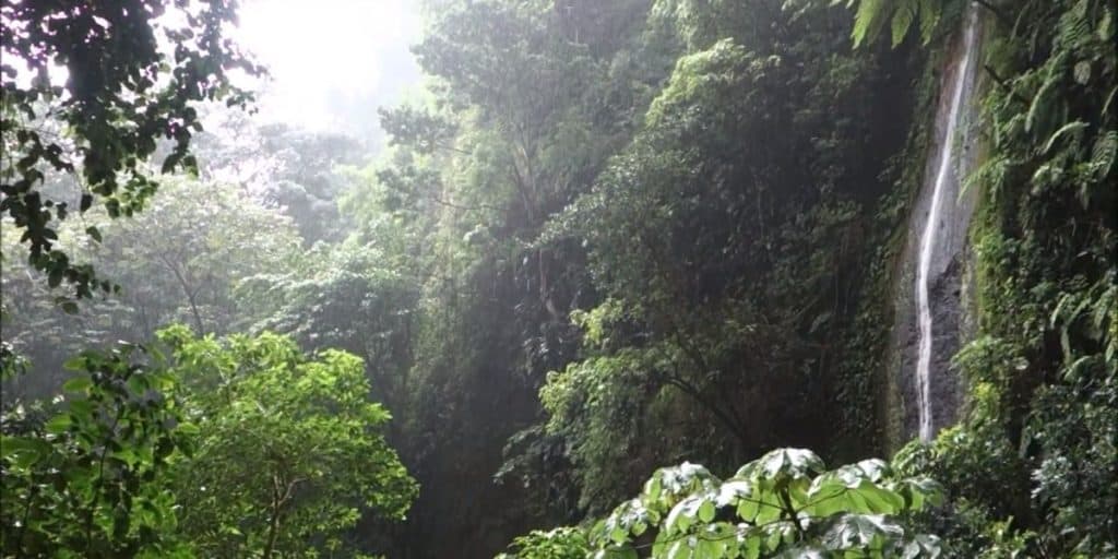 Chocoyero-El Brujo Natural Reserve