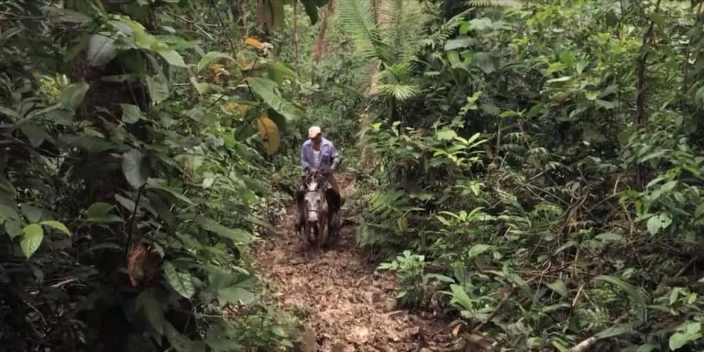 Indio Maíz Biological Reserve - National Parks in Nicaragua