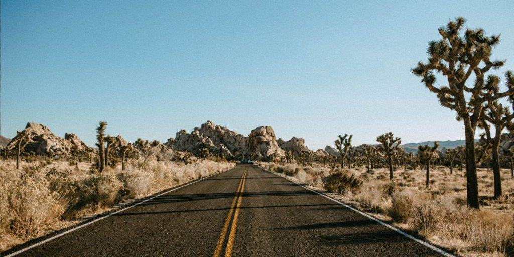 How To Make Joshua Tree Camping Reservations?