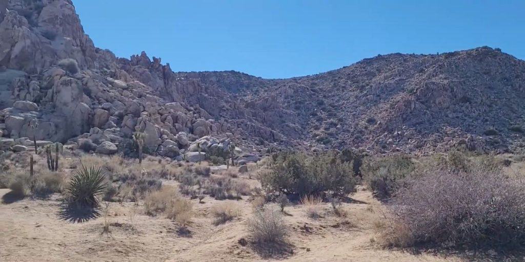 Sheep Pass Campground