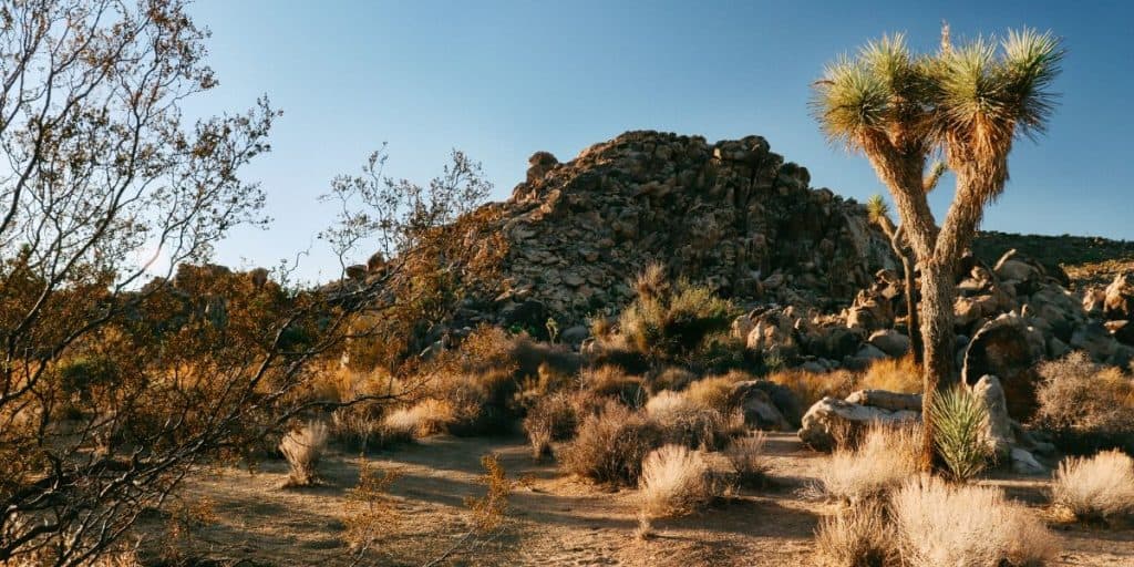 White Tank Campground